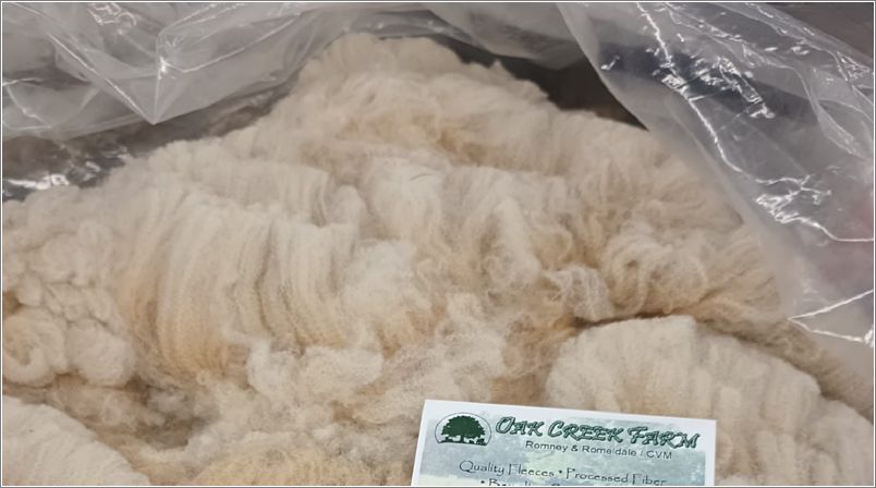 Melissas first place Romeldale fleece at Maryland Sheep and Wool Festival. Photo: Letty Klein.